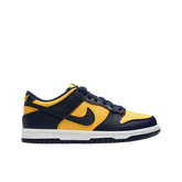 Nike Dunk Low Bg